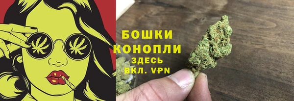 гидропоника Белокуриха