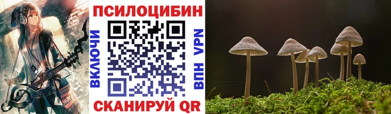 маркетплейс официальный сайт  магазин продажи   Десногорск  Псилоцибиновые грибы Psilocybe 