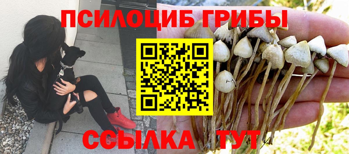 Псилоцибиновые грибы мухоморы Десногорск