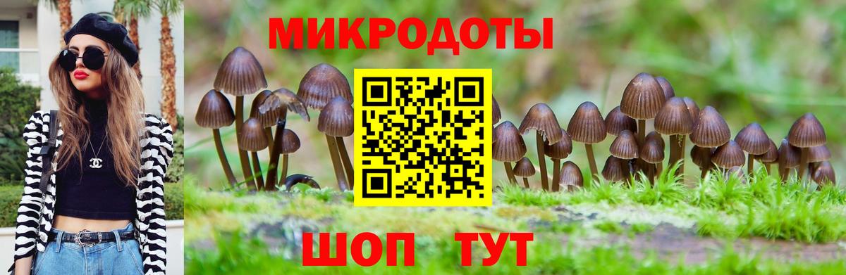 купить наркотики сайты  Десногорск  Псилоцибиновые грибы Psilocybe 