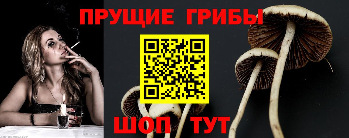 Галлюциногенные грибы Cubensis  Вход с VPN  Десногорск  Галлюциногенные грибы Cubensis 